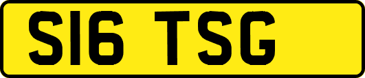 S16TSG
