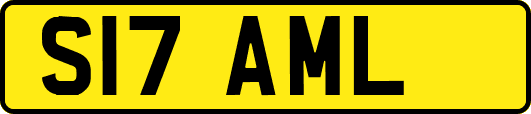 S17AML