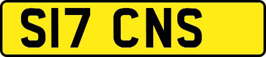 S17CNS