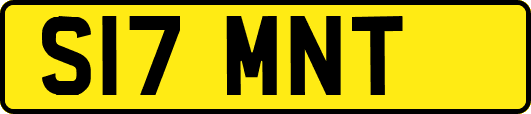 S17MNT