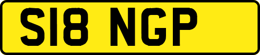 S18NGP