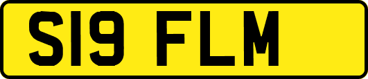 S19FLM
