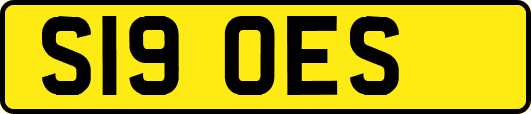 S19OES