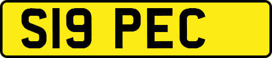 S19PEC