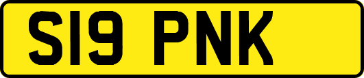 S19PNK