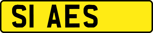 S1AES