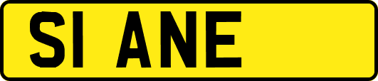 S1ANE