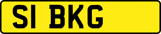 S1BKG