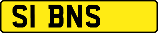 S1BNS