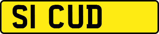 S1CUD