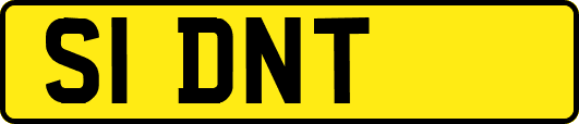 S1DNT