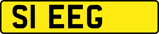 S1EEG