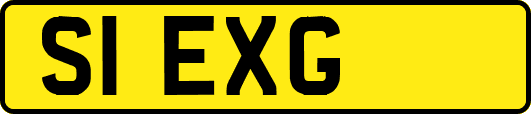 S1EXG