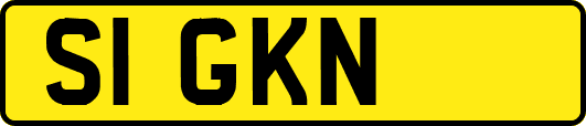 S1GKN