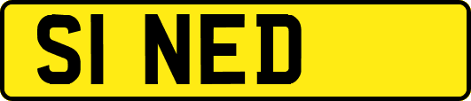 S1NED