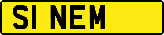 S1NEM