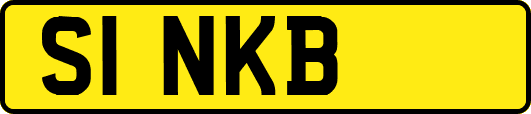 S1NKB