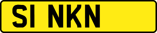 S1NKN