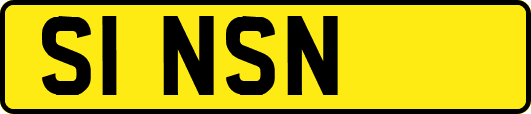 S1NSN