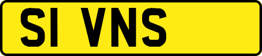 S1VNS