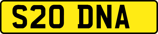 S20DNA