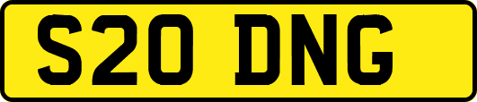 S20DNG