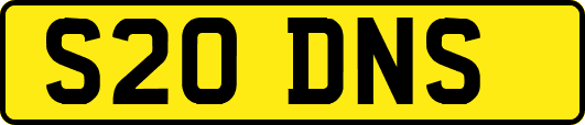 S20DNS