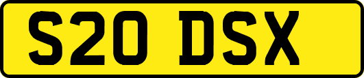 S20DSX