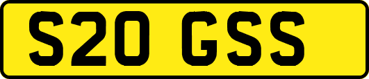 S20GSS