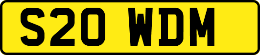 S20WDM