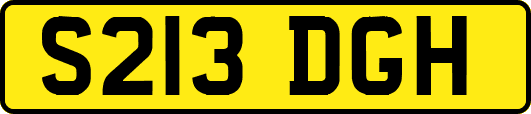 S213DGH