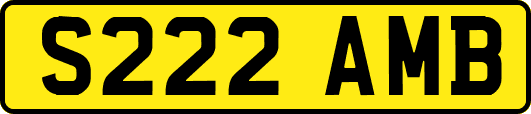 S222AMB