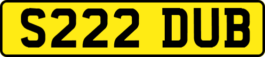 S222DUB