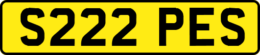 S222PES