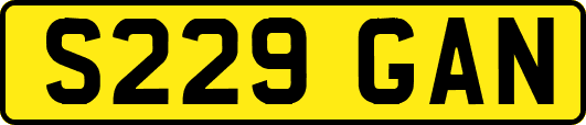 S229GAN