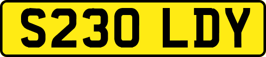 S230LDY