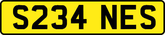 S234NES