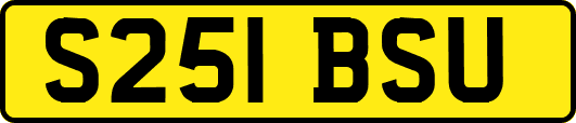 S251BSU
