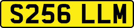 S256LLM