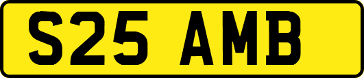 S25AMB