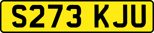 S273KJU