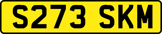 S273SKM