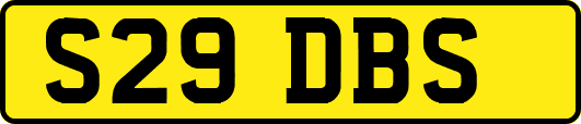 S29DBS
