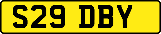 S29DBY