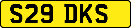 S29DKS