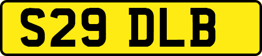 S29DLB