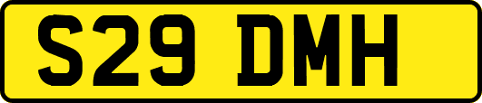 S29DMH