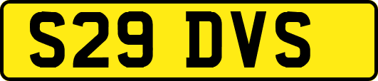S29DVS