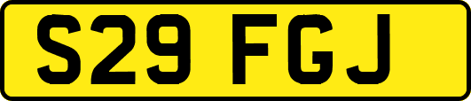 S29FGJ