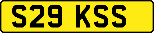 S29KSS